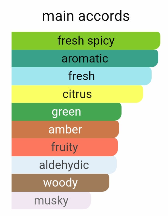 Yves Saint Laurent Y