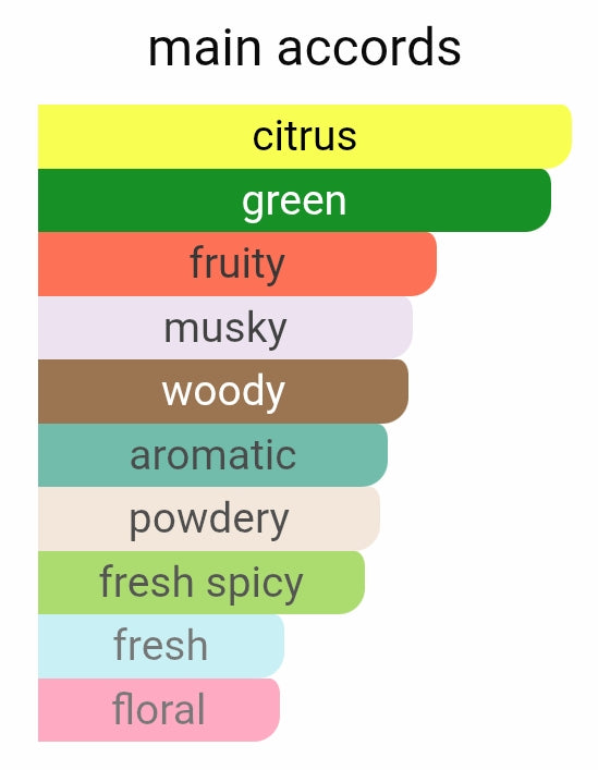 Creed silver mountain water